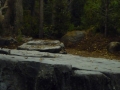L1010249